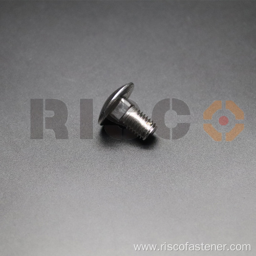Stainless Steel SS304 SS316 Carriage Bolt
